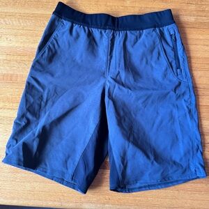 The north face shorts